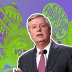 national abortion ban and lindsey graham, overlook