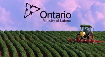 Ontario Ministry Of Labour Files Cases Against Farm Owners Exploiting Migrant Workers
