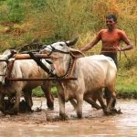 pm kisan 20th installment