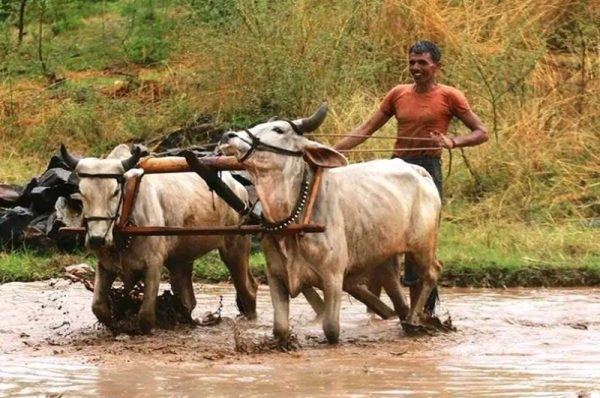 pm kisan 20th installment