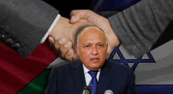 Egyptian FM Ahmed Hafez expresses the need to revive Palestine-Israel peace talks