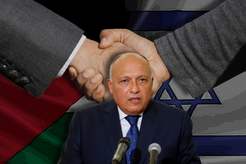 Egyptian FM Ahmed Hafez expresses the need to revive Palestine-Israel peace talks