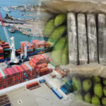 portsmouth dock workers 'tried to import £118m cocaine into uk'