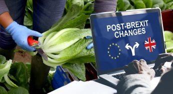 Post-Brexit Restrictions Failing To Encourage Firms To Invest In UK Workers: CIPD