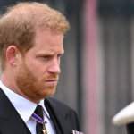 prince harry