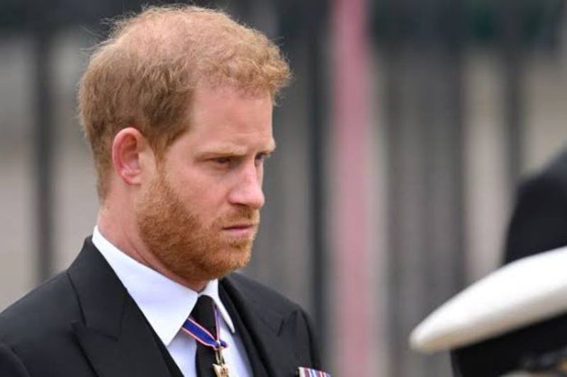 Prince Harry Faces Backlash as His Charity Admits Human Rights Abuse