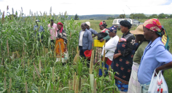 Progress and Challenges for Women’s Rights in Eswatini