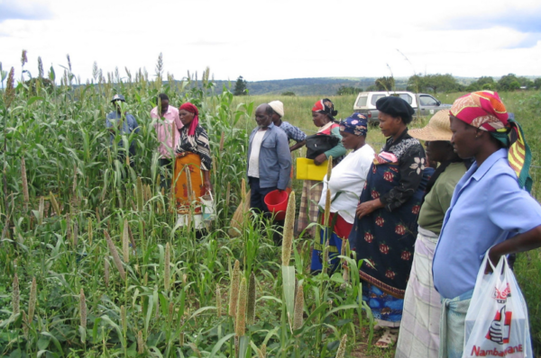 progress and challenges for women’s rights in eswatini