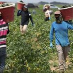 protecting farmworkers