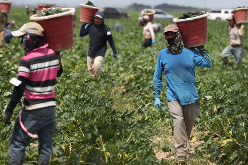 protecting farmworkers