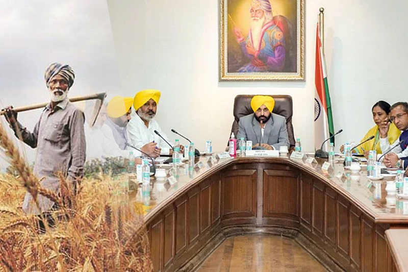 punjab cabinet approves 10% crop loss compensation for farm labourers