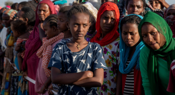 Rape and Sexual Violence of Women and Girls in Tigray: UN Report