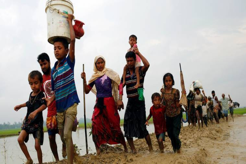 rohingya refugees