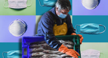 Migrant seafood workers at risk due Covid-19 pandemic, companies remain ignorant to their lives