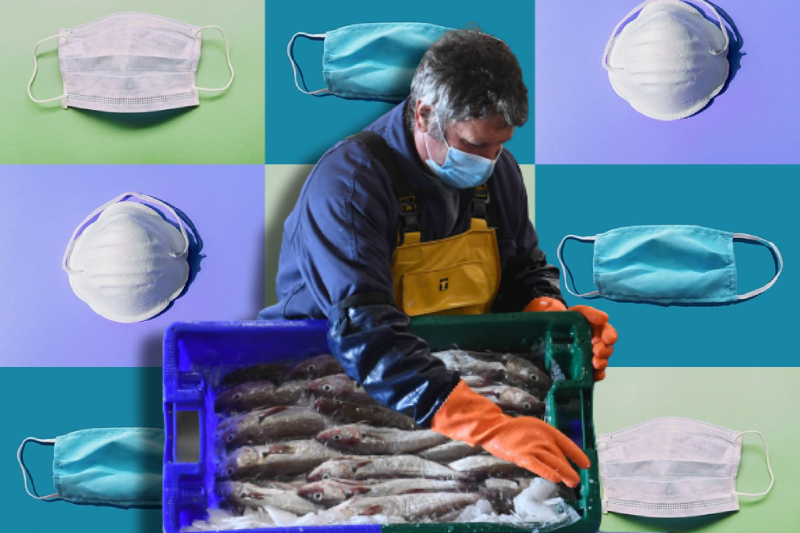 Migrant seafood workers at risk due Covid-19 pandemic, companies remain ignorant to their lives