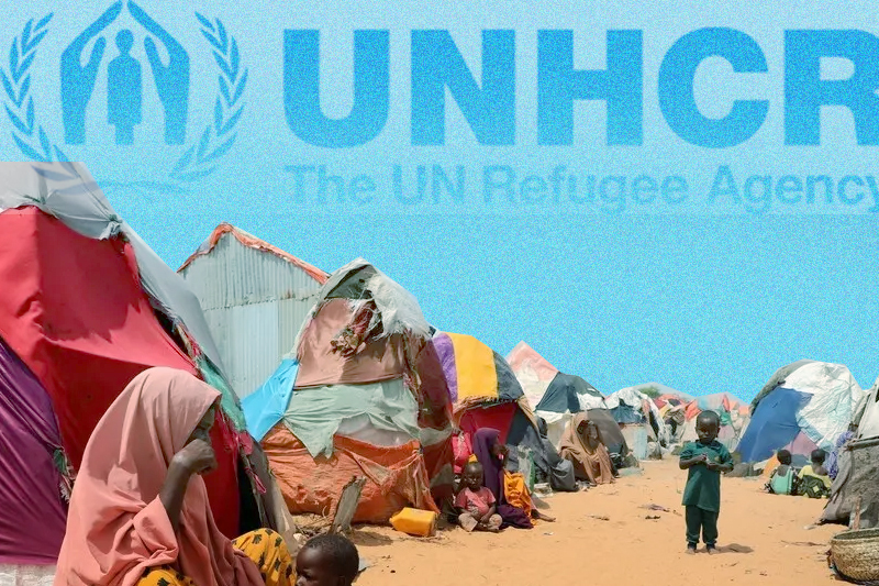 somalia hosting over 35,000 refugees, asylum seekers un refugee agency