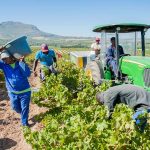 south africa new labour
