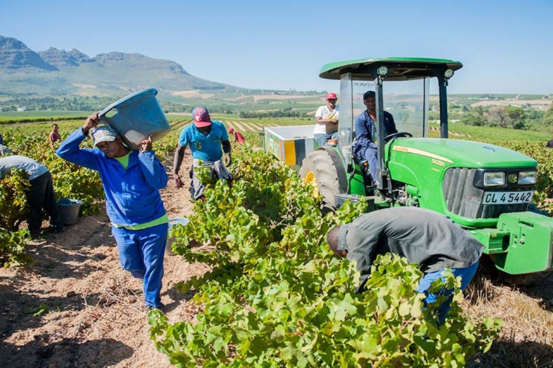 south africa new labour