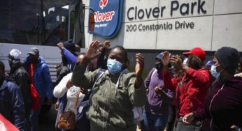 South African Diary Company Clover Get Worldwide Support Over Worker Rights Pleas
