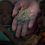 South Sudan to face hungriest year