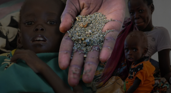 Hunger crisis: South Sudan to face hungriest year