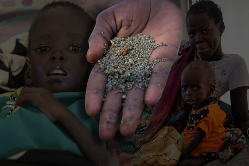 South Sudan to face hungriest year