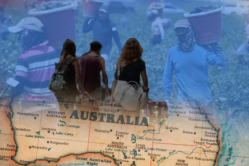the australian government has opened the door to more permanent migrants to ease the labor shortage