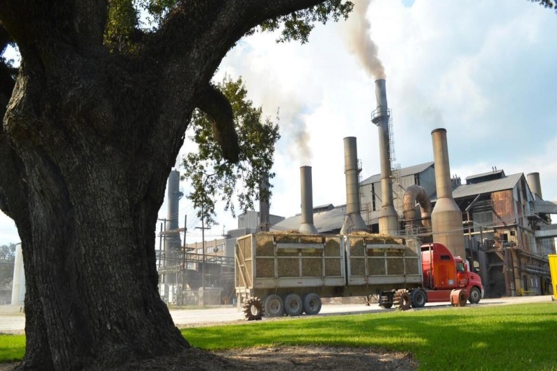 the lawsuit filed in western louisiana claims sterling sugars sales corporation obtained work visas representing the six as farm workers.