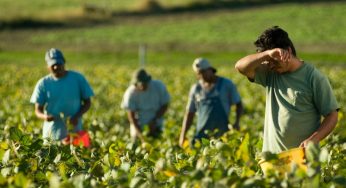 This US state witnesses labor trafficking in the agriculture sector