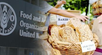 UN FAO’s global food prices fall for fifth month in a row