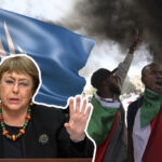 un human rights chief urges 'independent' probe of sudan