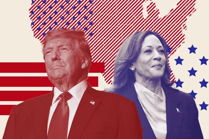 US presidential election: Reasons Republicans triumphed and Democrats lost