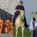 us prison work breaks bodies and minds for pennies