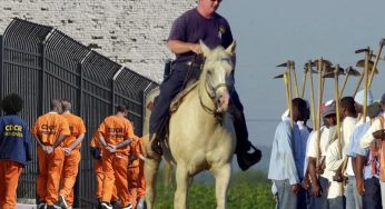 US prison work breaks bodies and minds for pennies