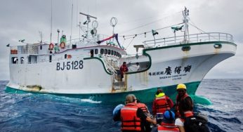US still unsatisfied with seafood industry operations in Taiwan