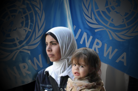Support for Palestinian refugees: UNRWA seeks aid of $1.6 billion in 2022