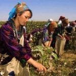 Uzbek Cotton Frees Children