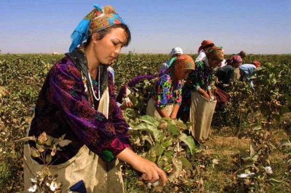 Uzbek Cotton Frees Children