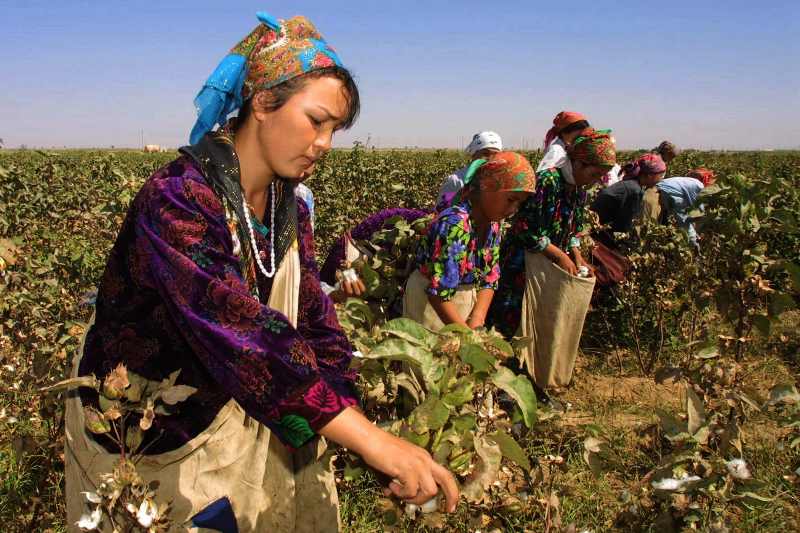 Uzbek Cotton Frees Children