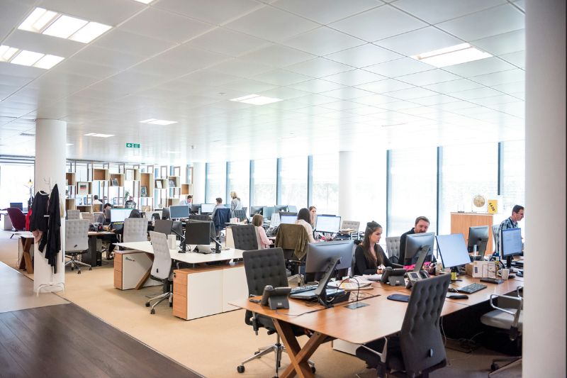 How to Deal with Toxic Work Environments