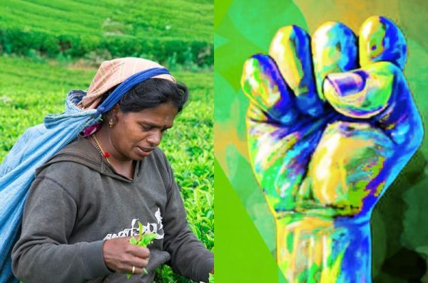 Labour Rights Lessons from Leading Developed Nations