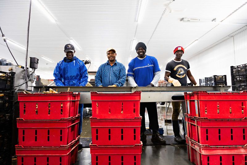 Migrant, Domestic & Seasonal Workers: The Overlooked Vulnerable Workforce