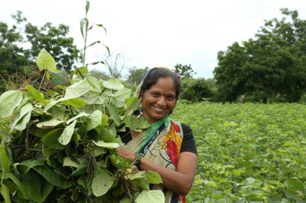 women migrant workers rights and protections
