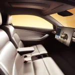 Robotaxi Boom