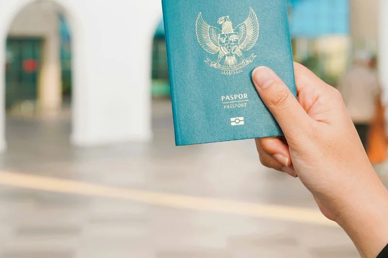Denmark’s New GL1/5 and GL2 Digital Visa Systems