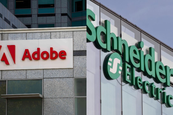 Eco-Companies Ranked Best for Women Workers