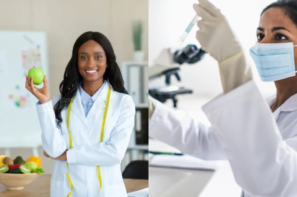 Humanitarian Careers