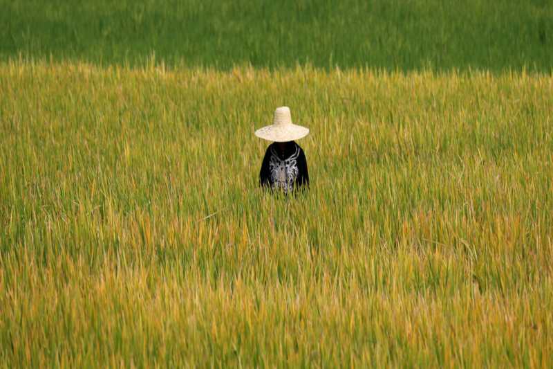 us farmers