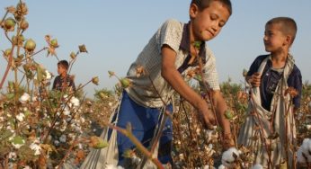 Uzbek cotton is free from child and forced labour