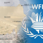 wfp pauses aid operation in sudan after 3 workers killed 